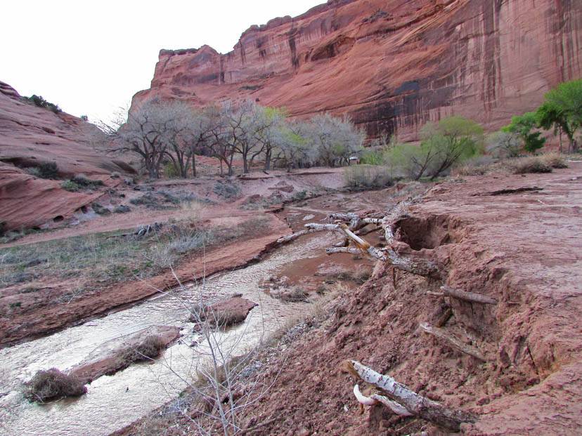 Canyon de Chelly