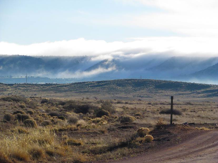 1st Morning of Spring pictured in Burnside, AZ. 