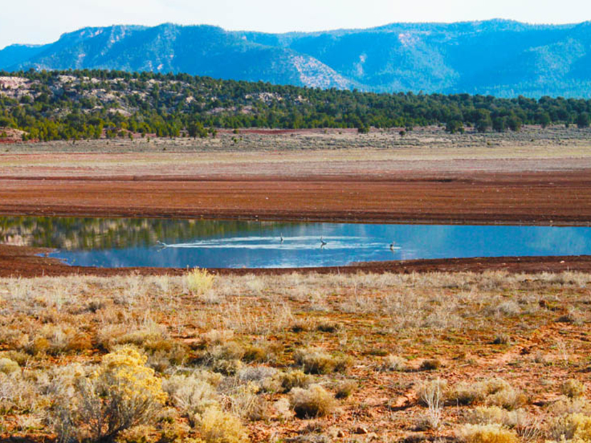 Watering hole where most of the water is now gone but slowly rejuvenating and healing