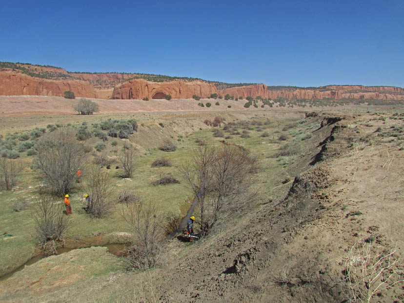 New Mexico plains with men taking down trees. 