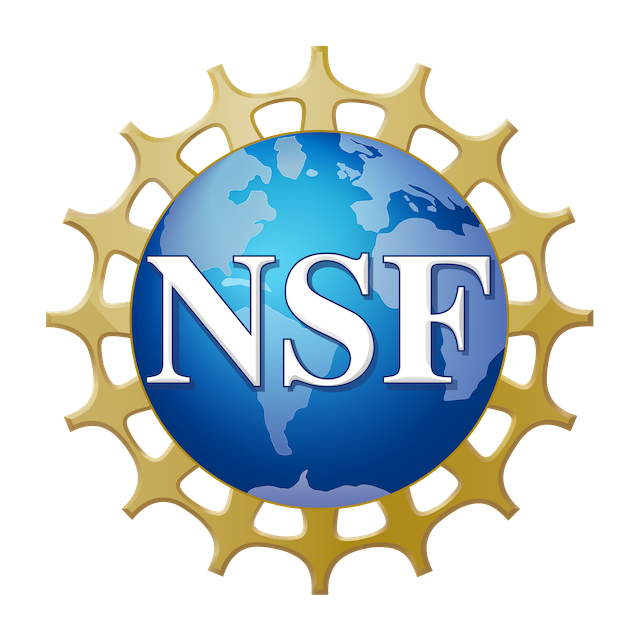 NSF logo - blue earth with sun around it and large NSF written in the center of the globe