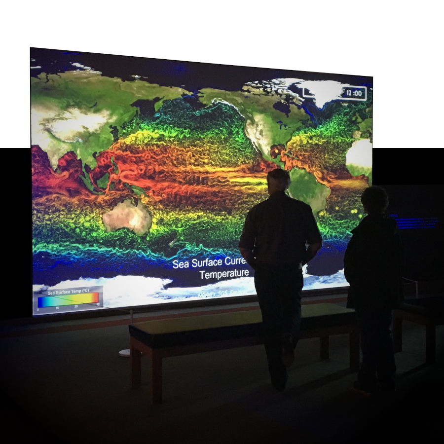 Person staring at an SOS world map with green, yellow, red and orange colors which depict different sea surface temperatures