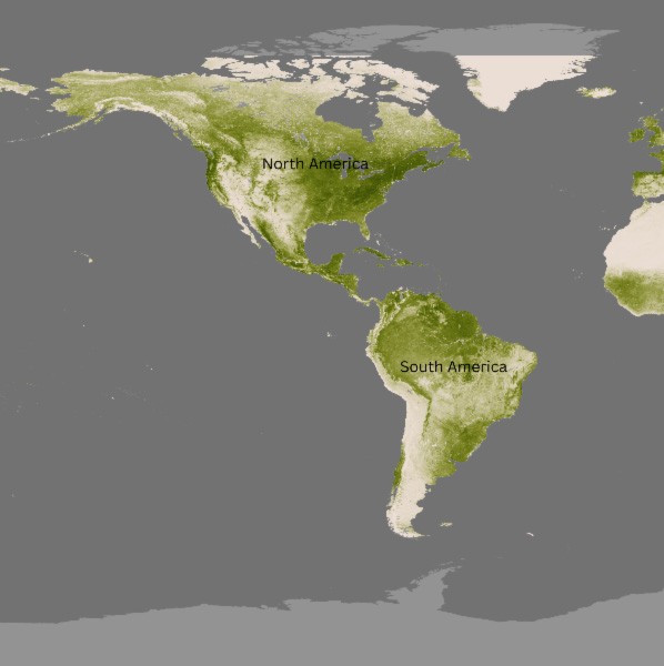 Satellite map of North and South America highlighting vegetation coverage. Green areas indicate denser vegetation, particularly in the Amazon rainforest and eastern North America, while lighter areas show sparse vegetation such as deserts and mountains. The continents are labeled 'North America' and 'South America
