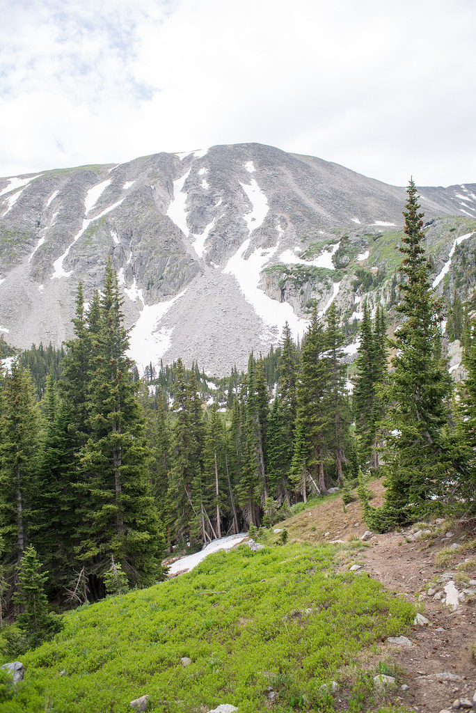 Niwot Ridge by Adam Zolyak