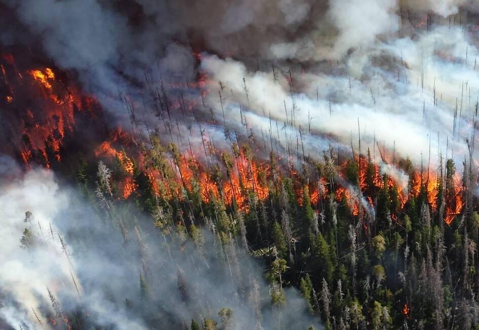 Alder Fire. Photo of burning forest and smoke