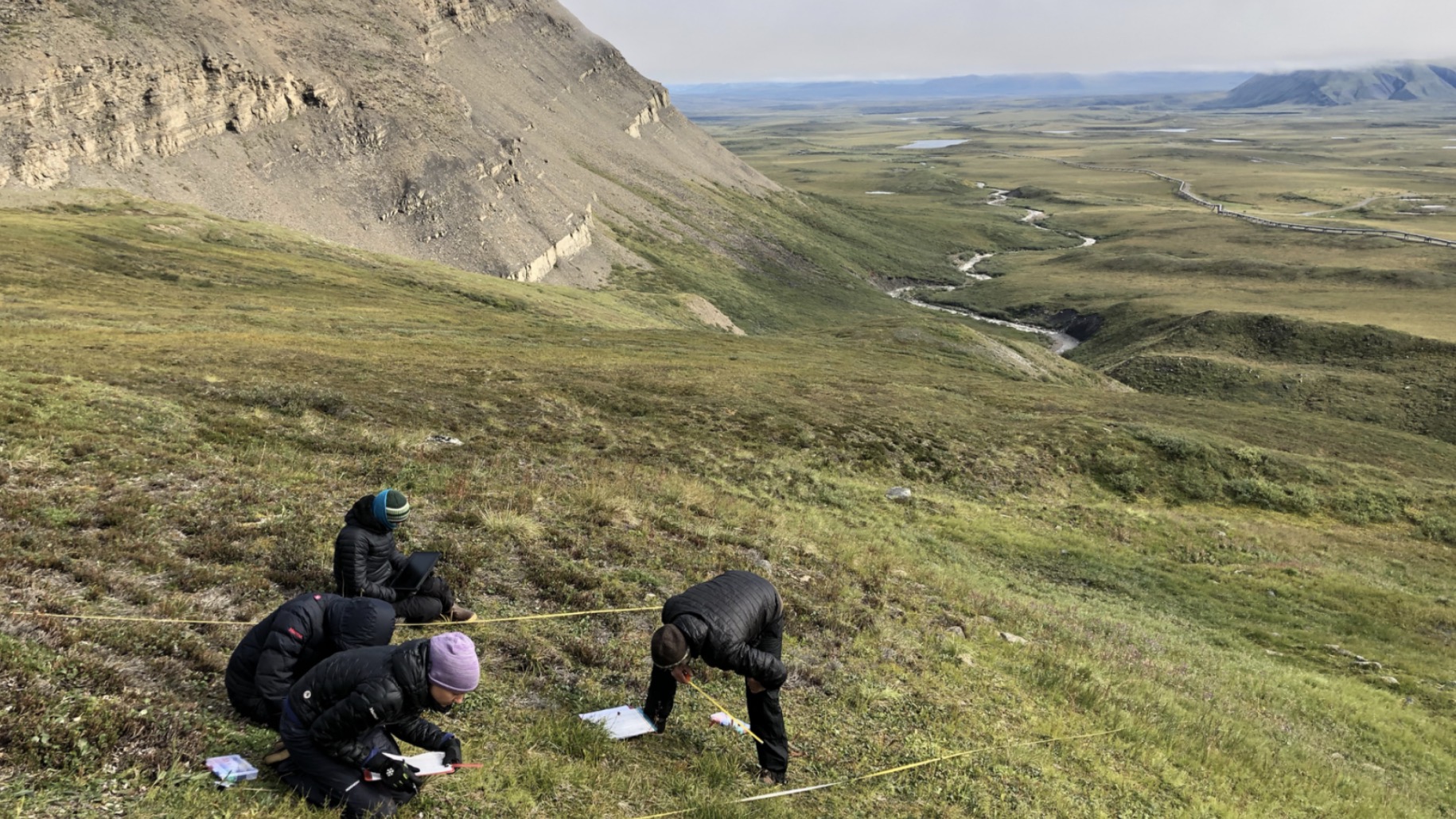 photo of scientists in a green field measuring something on the ground