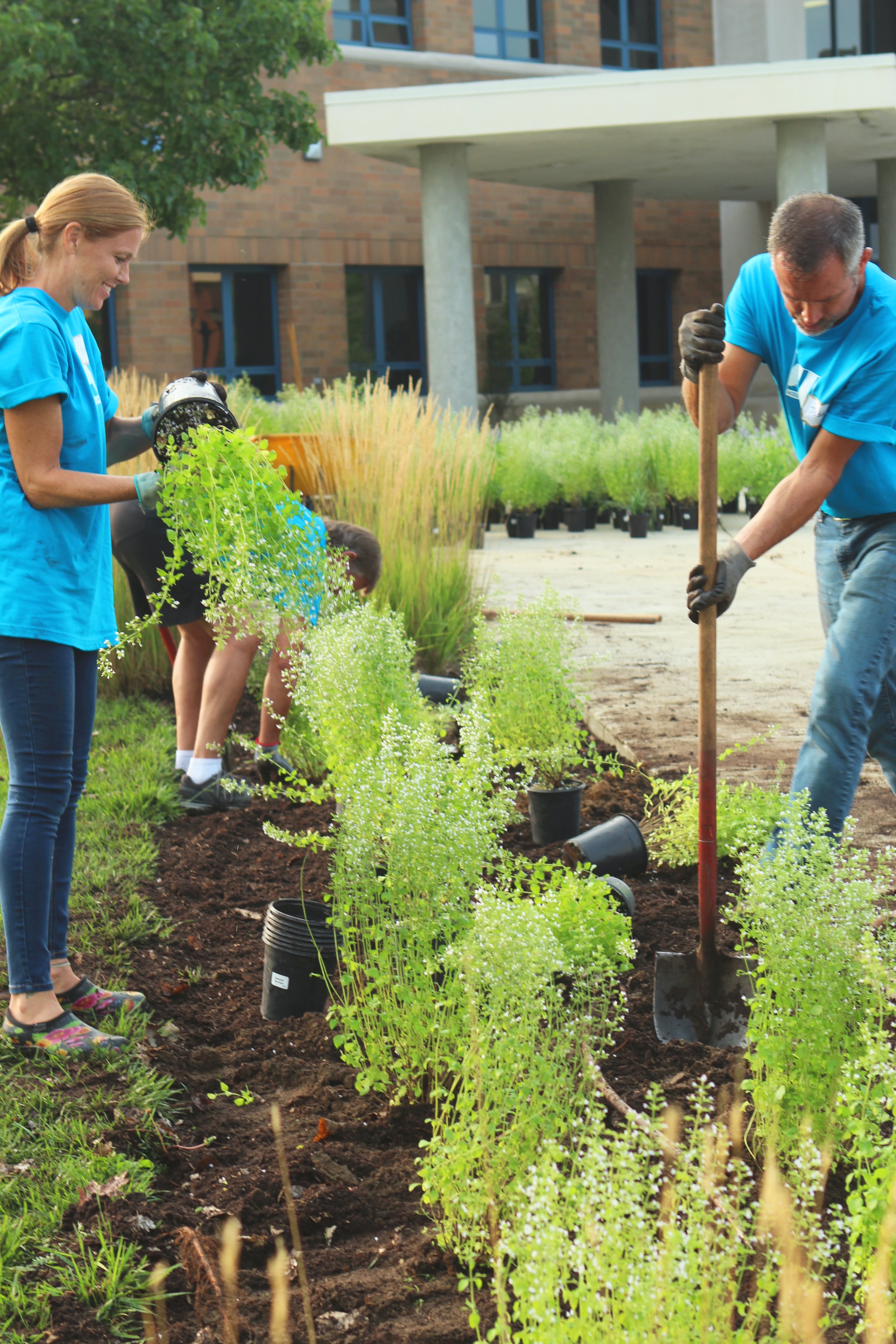 Plant a garden