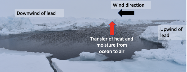 Image of glacier in water with arrow showing transfer of heat and moisture from ocean to air and wind direction