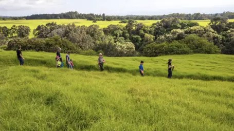 Field with people hiking