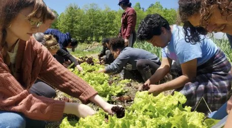 Kids farming