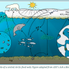 Central Arctic food web 