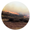 RISE Challenge Support Series: Wildfire Webinar 