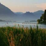 a lake with mountains in the background and visible vegetation 