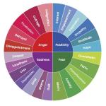 climate emotions wheel