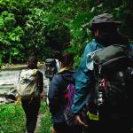 Hikers walking along a trail surrounded by lush green forest
