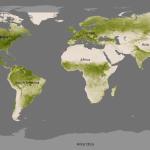 2016 Global Vegetation Index from NOAA-20's Visible Infrared Imaging Radiometer Suite (VIIRS). The Vegetation Index shows level of vegetation based on the amount of absorbed visible light. The lushest areas are dark green and absorb the most visible light, while sparse vegetation is pale in color.
