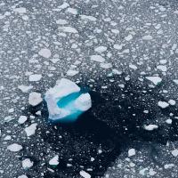 Melting bits of ice float over a deep blue ocean in the arctic sea.