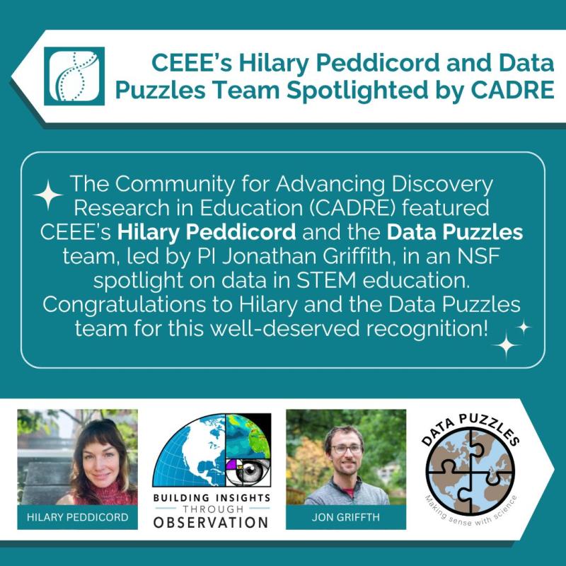 Award for Data Puzzles