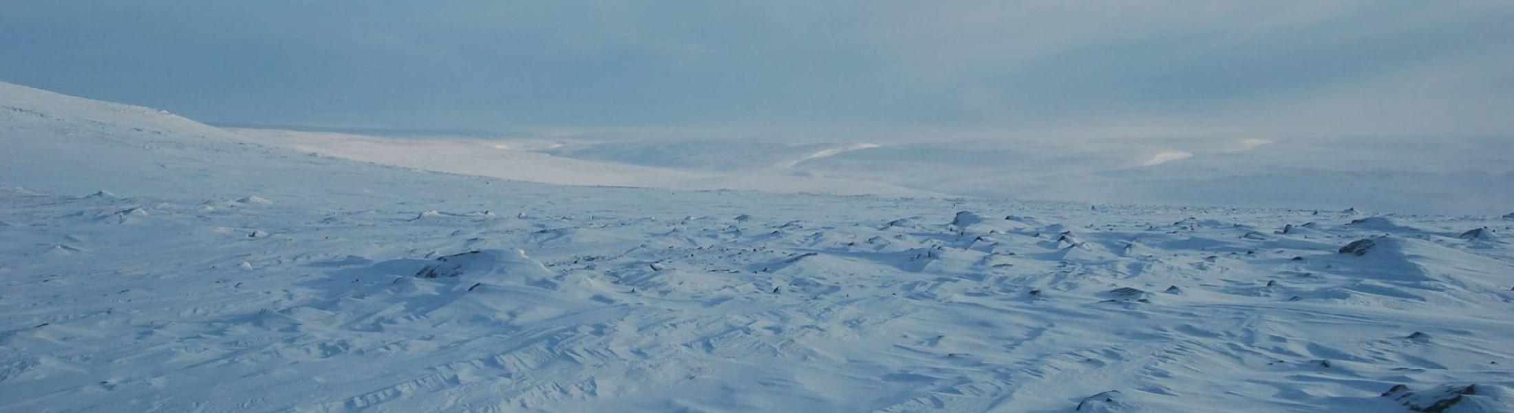 arctic landscape