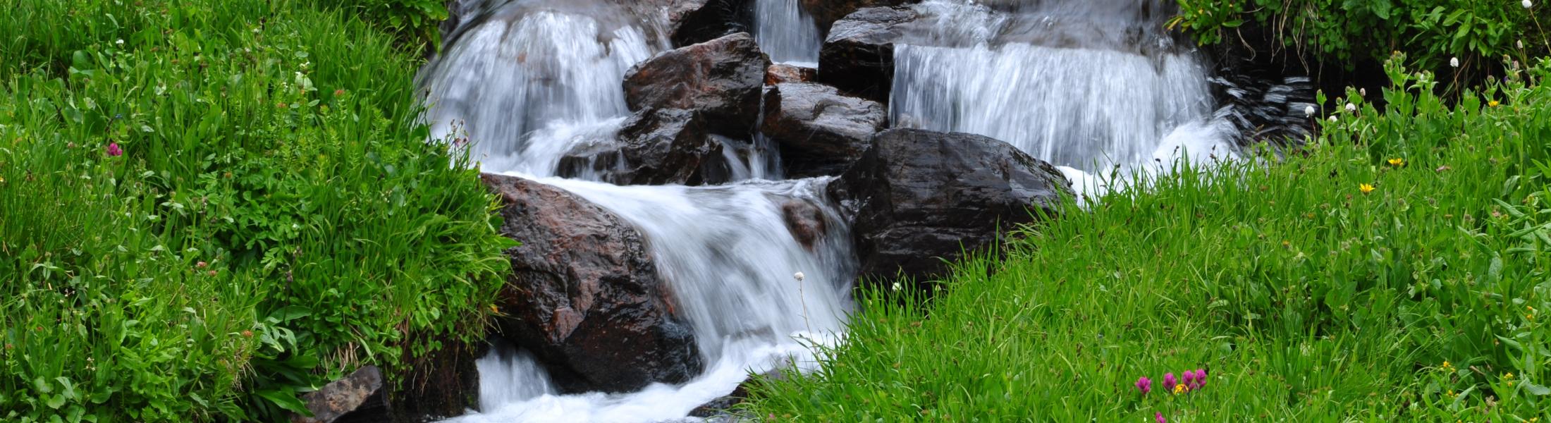 gushing mountain stream with lush vegetation