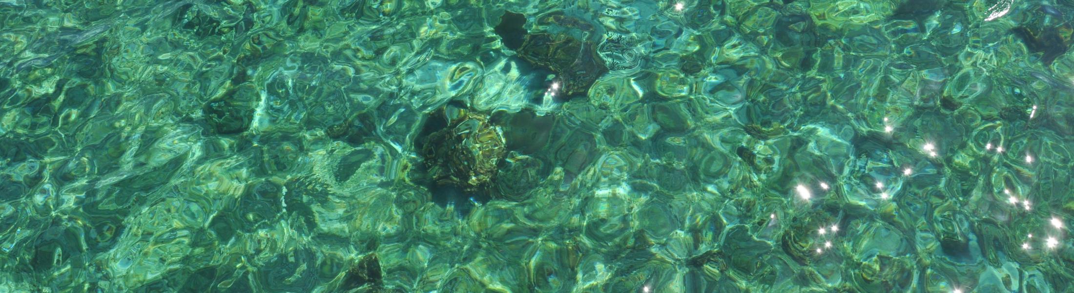 looking down into clear water