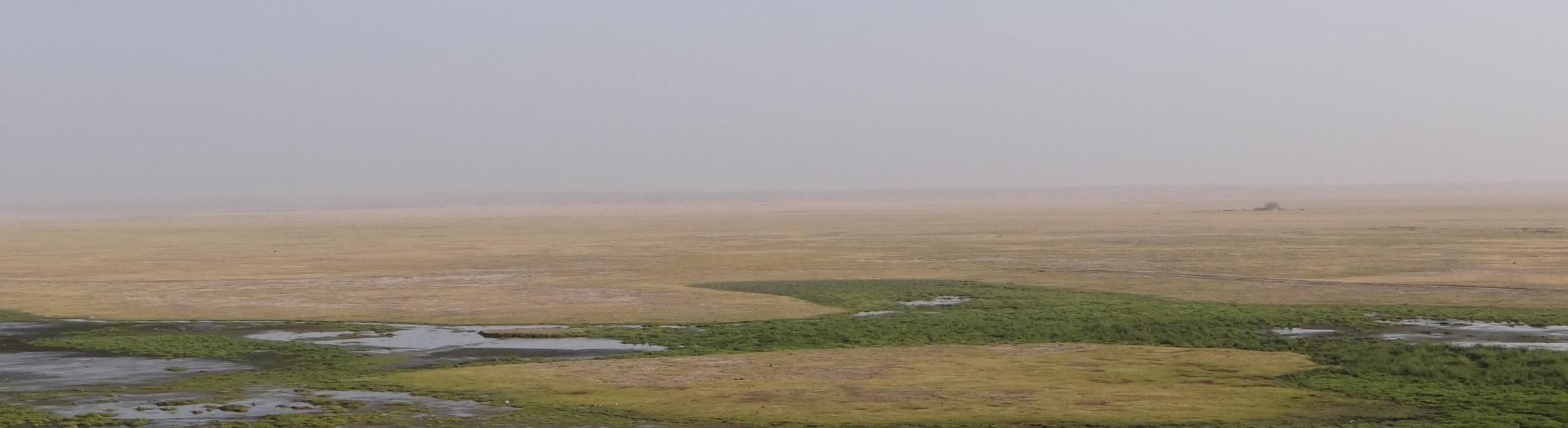 distant view of treeless bog