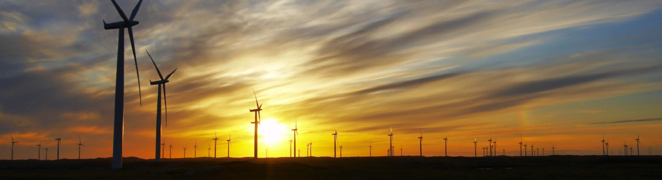 wind turbines in the sunset