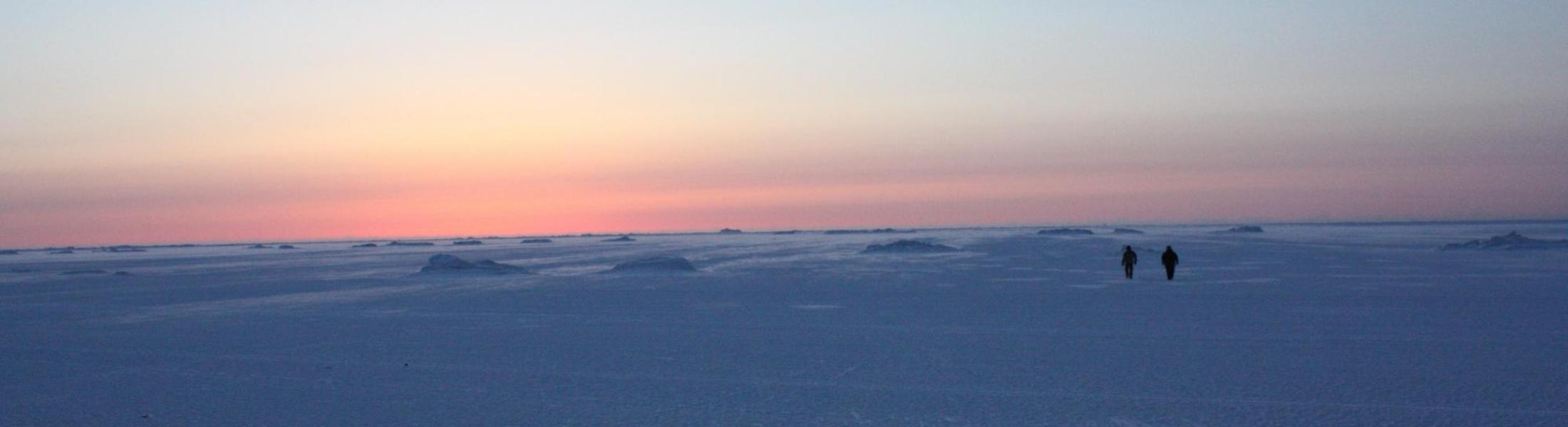 Walkers on the Arctic