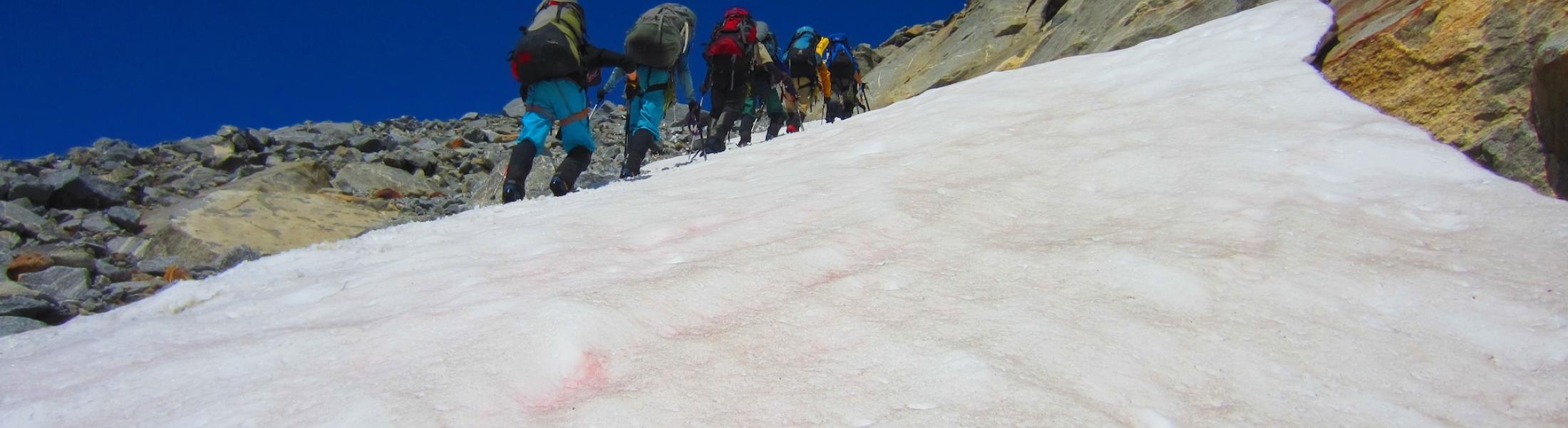 Scientists walk up ice and snow