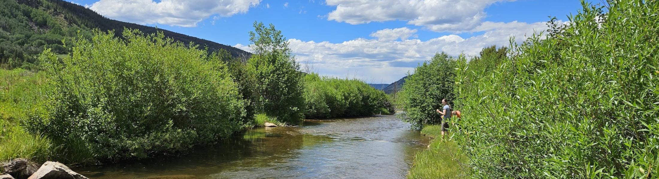 Creek with someone fishing