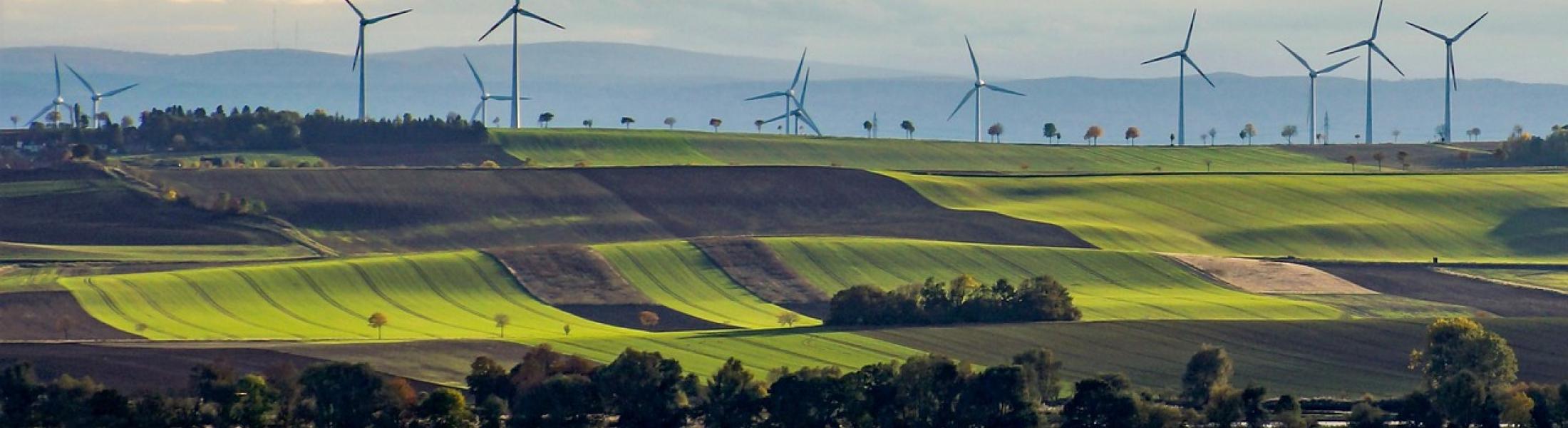 Climate Mental Health Banner Image