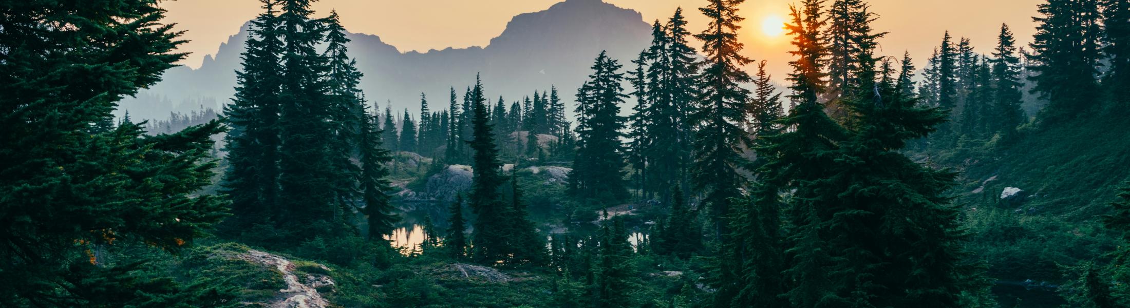 smokey morning in the cascades 