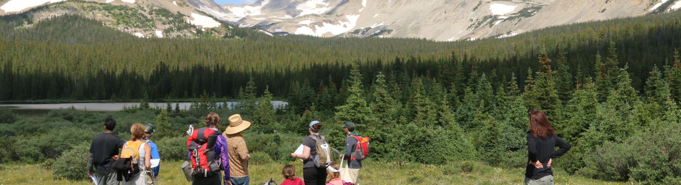 People standing in a field near a mountain range