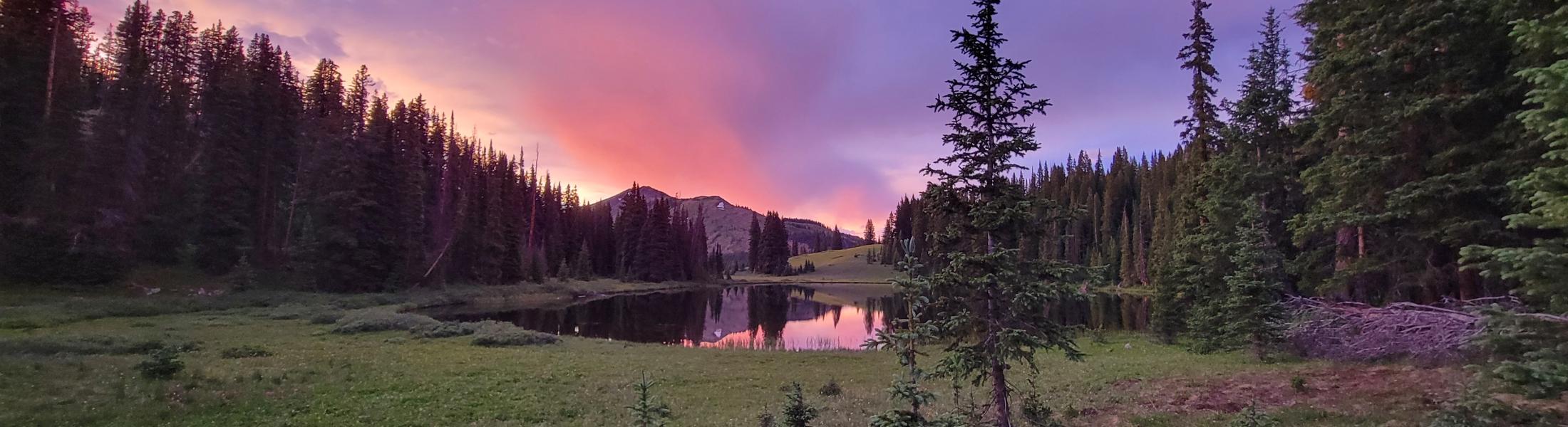 A tranquil forest scene at sunset with tall evergreen trees framing a reflective lake, grassy meadow in the foreground, and a vibrant sky glowing with shades of pink, purple, and orange behind distant mountains.
