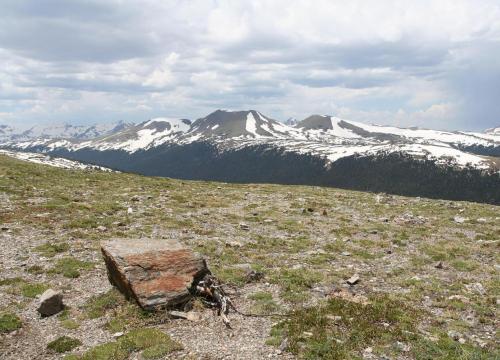Alpine tundra vegetation with large boulder.