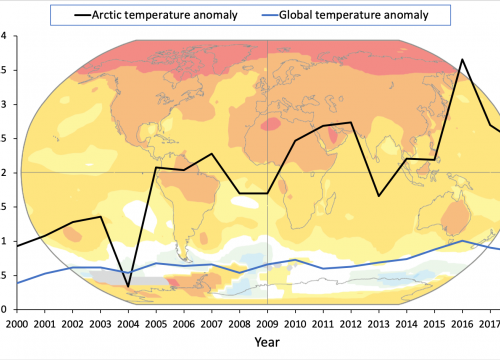 A graph of temperature anomalies.