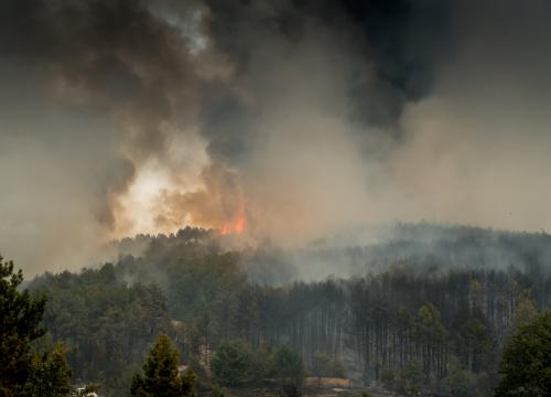 Colorado Wildfire by Nikolay Kondev
