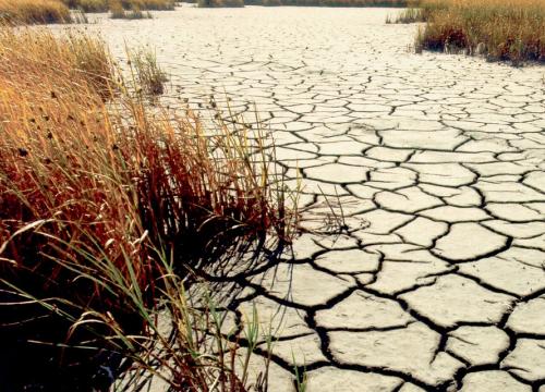 Modern Event Preparedness - Drought via Flickr. Dry dirt with dark cracks in it surrounded by dry grass. 