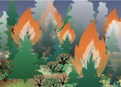 Image of fire and burned landscape