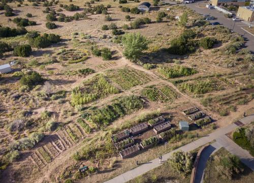 Aerial view of a Waffle Garden