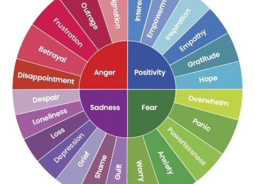 climate emotions wheel