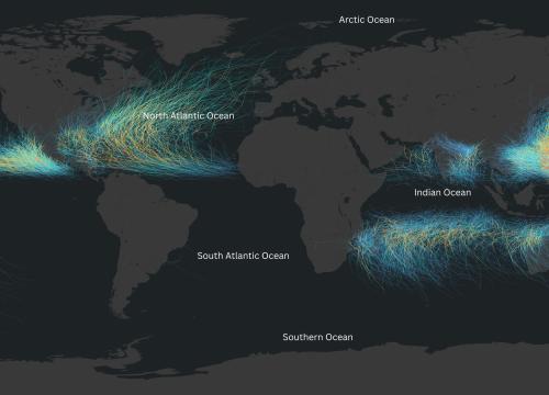 Hurricane Tracks shows global tropical cyclones from 1950 - 2020. The majority of this activity is in the North Atlantic Ocean, the Eastern pacific, Southwest Asia, and in the Indian Ocean.