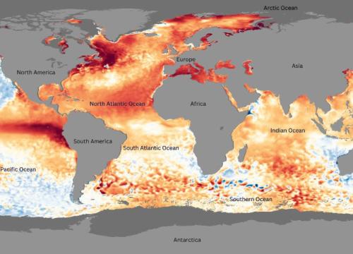 Sea Surface Temperature Anomaly. Depicts much warmer than usual water temperatures globally during an El Niño year. 