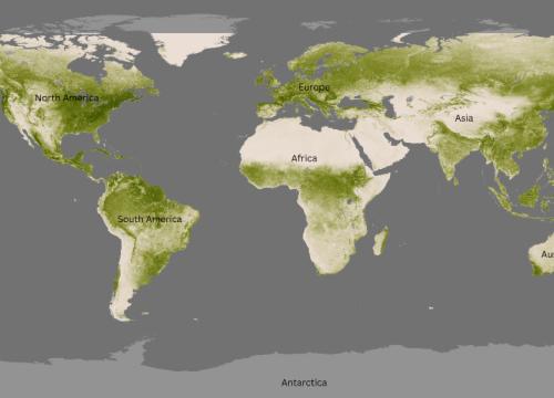 2016 Global Vegetation Index from NOAA-20's Visible Infrared Imaging Radiometer Suite (VIIRS). The Vegetation Index shows level of vegetation based on the amount of absorbed visible light. The lushest areas are dark green and absorb the most visible light, while sparse vegetation is pale in color.