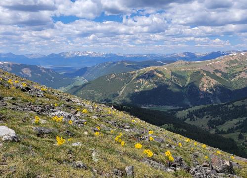 A scenic mountain landscape with rolling green hills and rocky slopes in the foreground. The terrain is covered with patches of grass and scattered stones. In the distance, layers of mountains stretch toward the horizon under a partly cloudy sky, creating a sense of depth and vastness.
