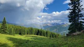 Field in the mountains 