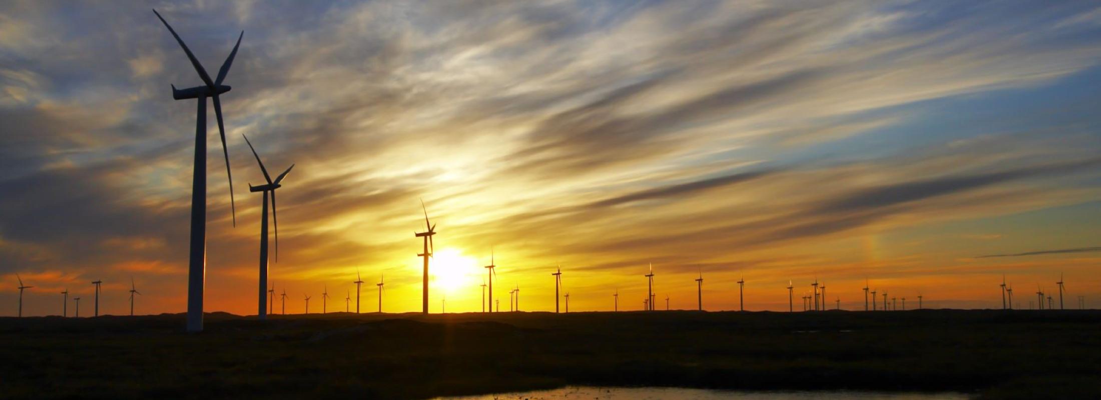 wind turbines in the sunset