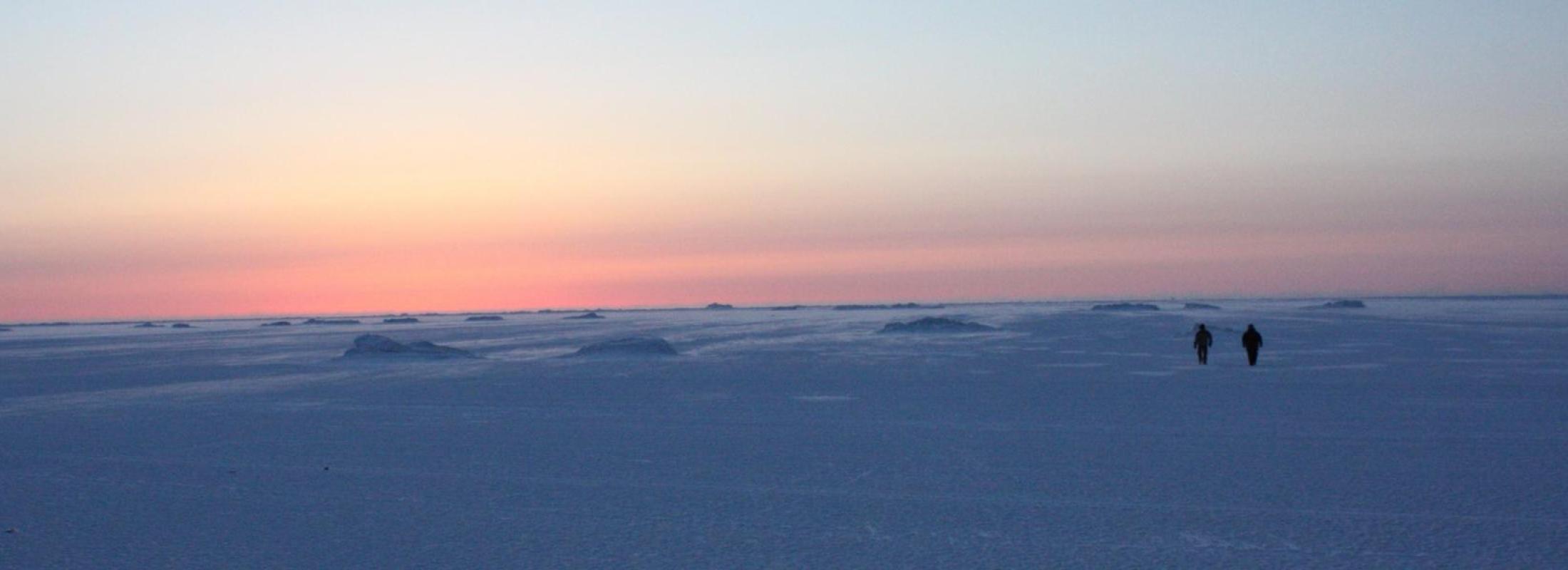 Walkers on the Arctic