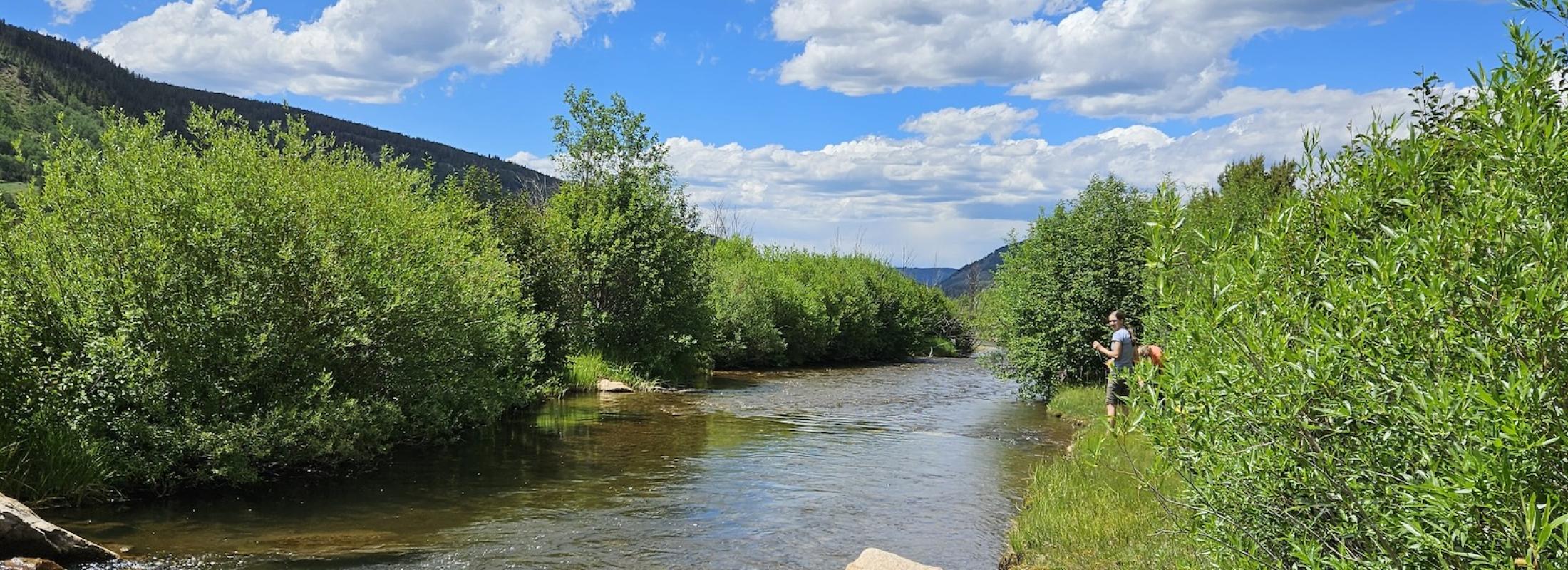 Creek with someone fishing