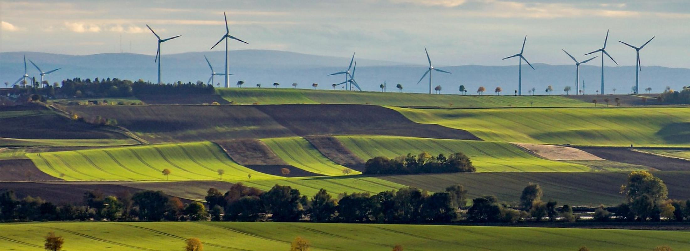 Climate Mental Health Banner Image